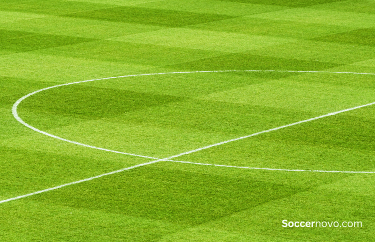 Why is a Soccer Field Called a Pitch? Here’s Your Answer