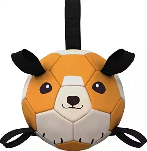 Akongy Soccer Ball for Dogs with Tabs