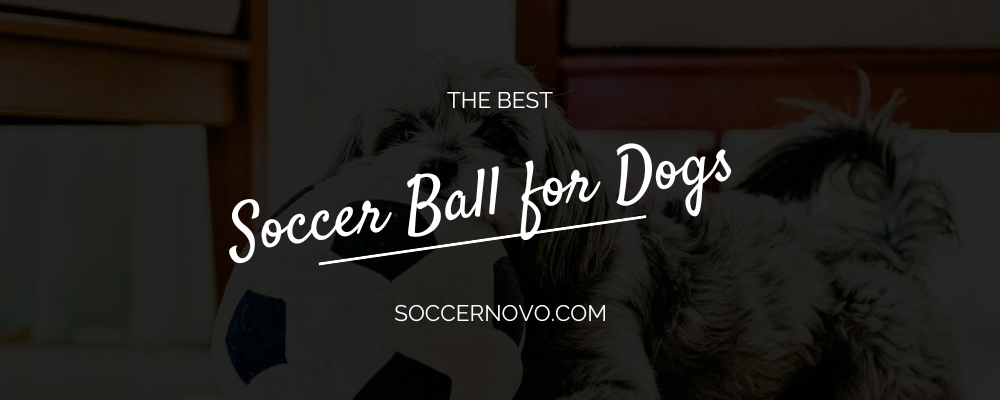 Dog Soccer Ball Toys